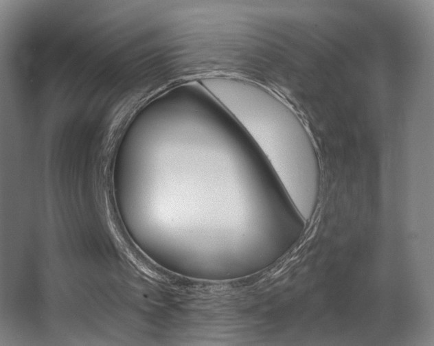 X0000068260097200604210925