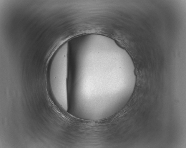 X0000068260098200604210925