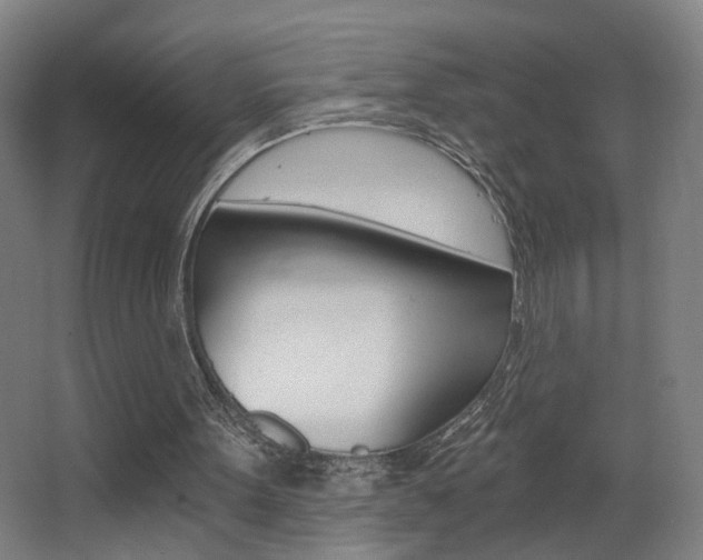 X0000068260099200604210925