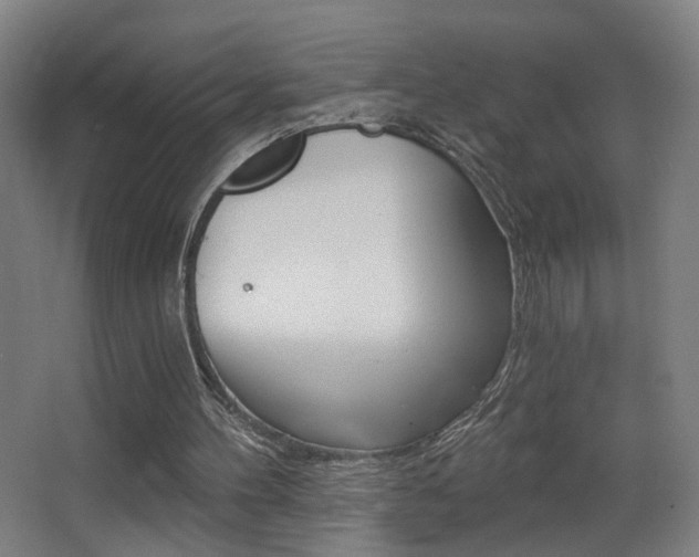 X0000068260100200604210925