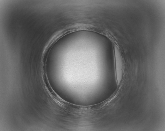 X0000068260101200604210925