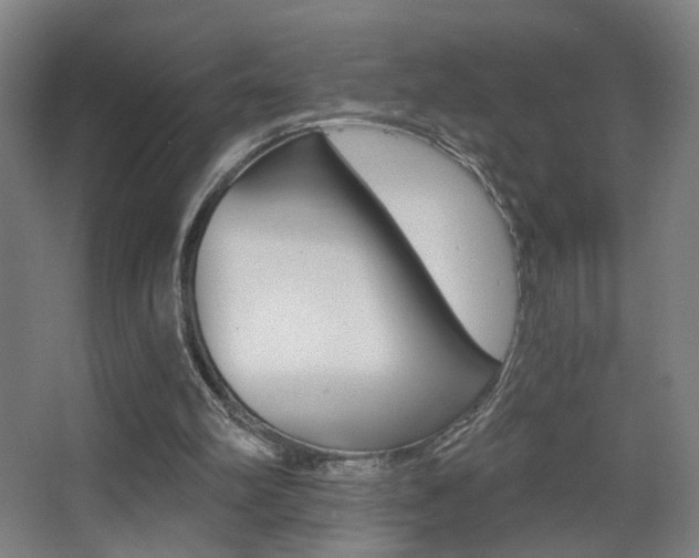 X0000068260102200604210925