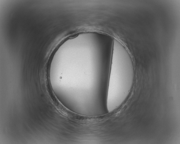 X0000068260103200604210925