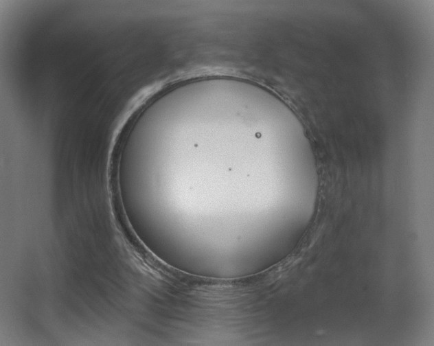 X0000068260104200604210925