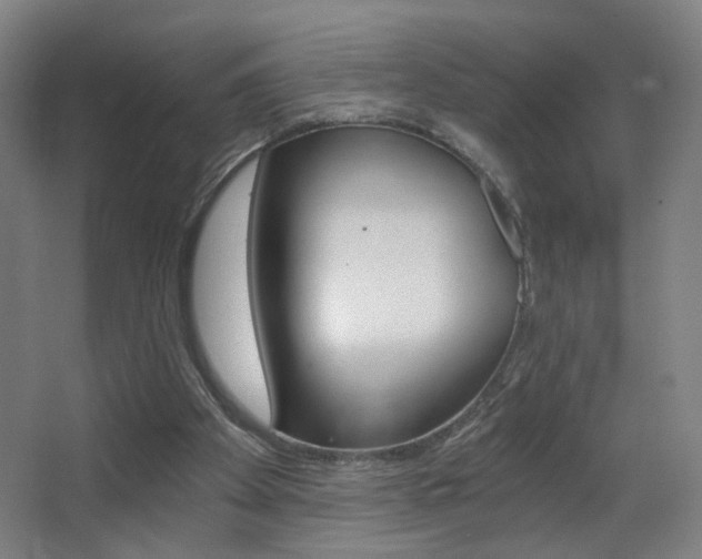 X0000068260105200604210925