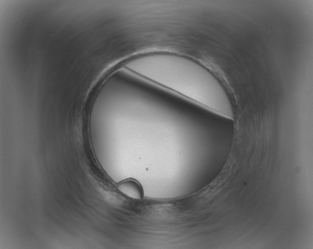 X0000068260108200604210924