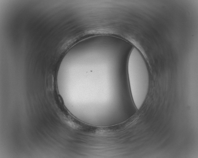 X0000068260109200604210924