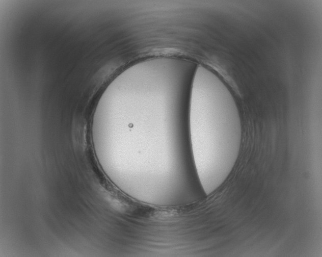 X0000068260110200604210924