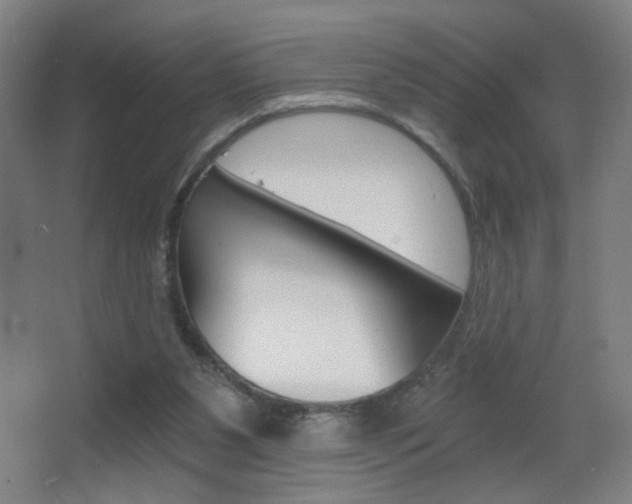 X0000068260111200604210924