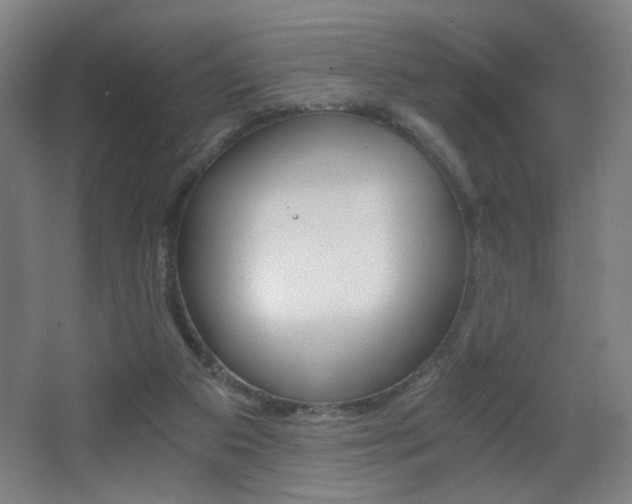 X0000068260113200604210924