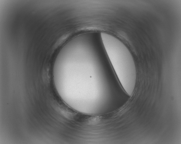 X0000068260116200604210924