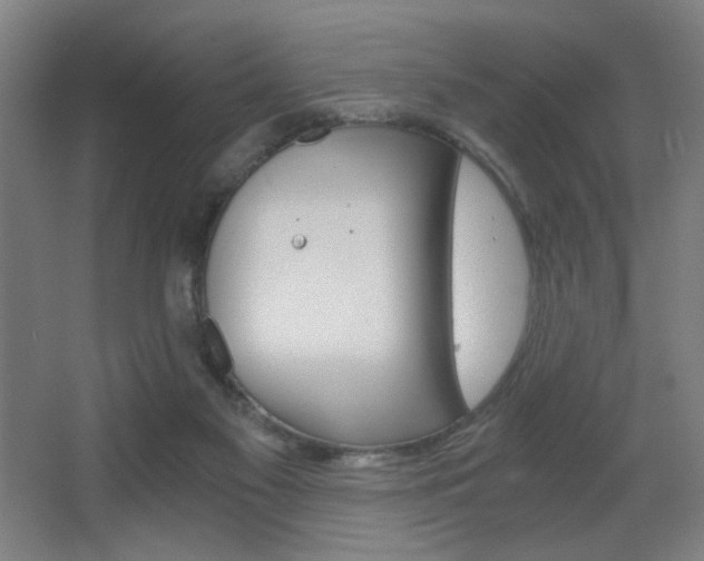 X0000068260117200604210924