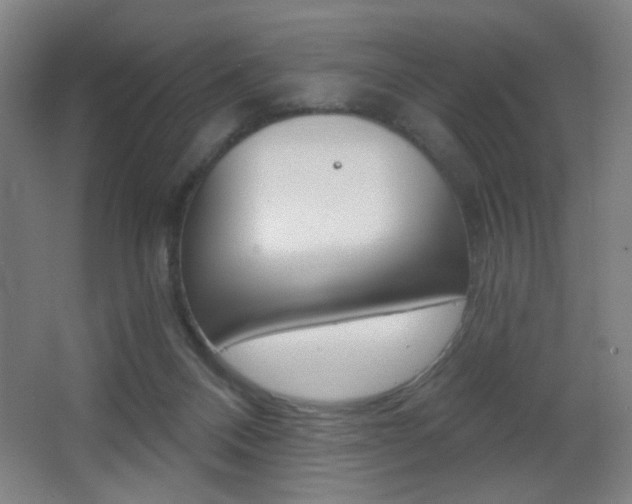 X0000068260120200604210924