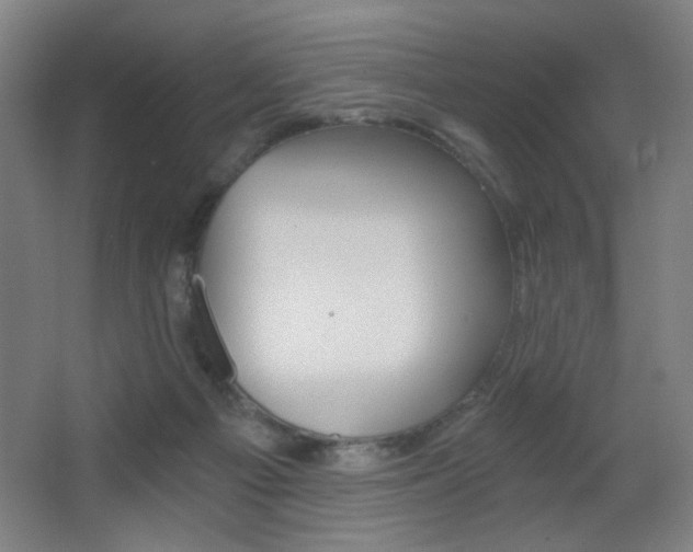 X0000068260121200604210924