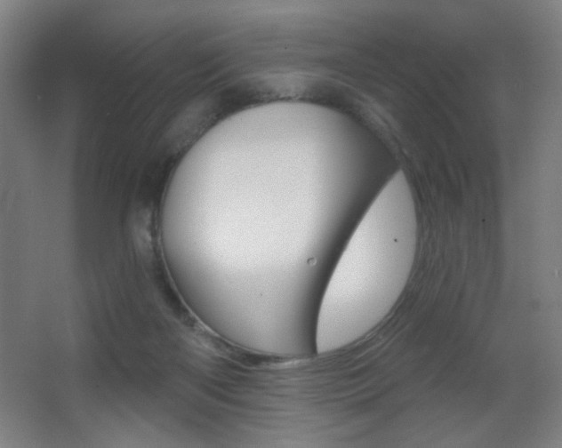 X0000068260122200604210924