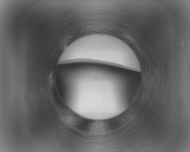 X0000068260123200604210924