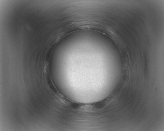 X0000068260125200604210924