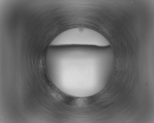 X0000068260126200604210924