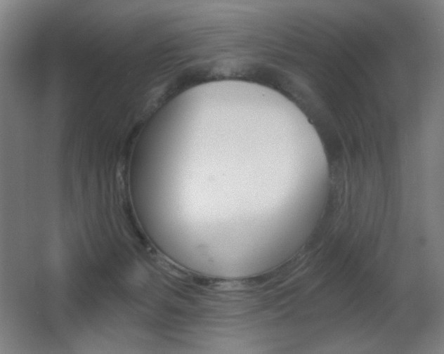 X0000068260127200604210924