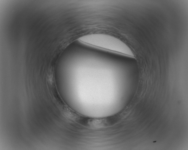 X0000068260129200604210924