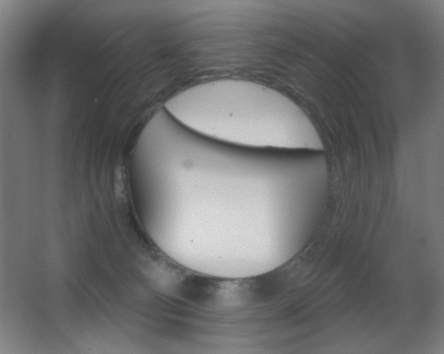 X0000068260130200604210924