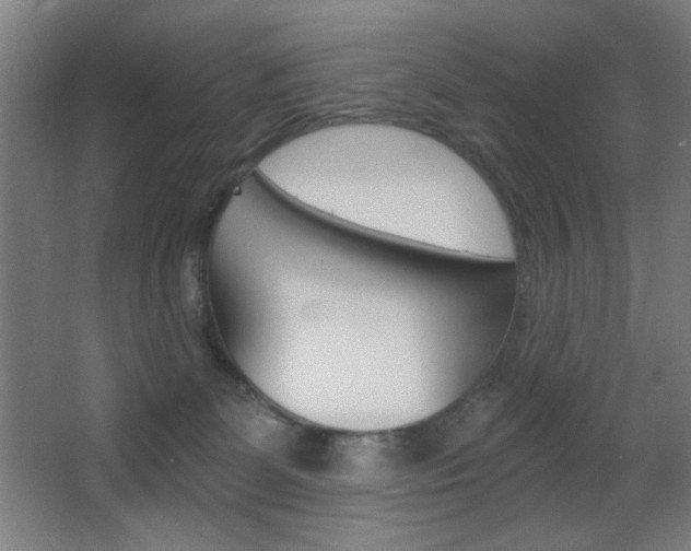 X0000068260131200604210924