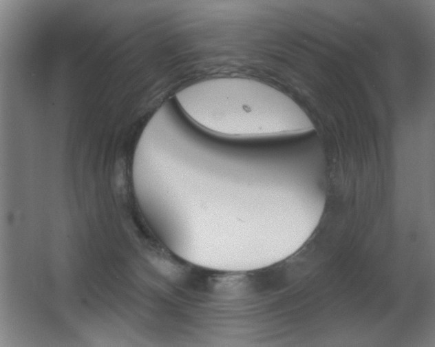 X0000068260132200604210924