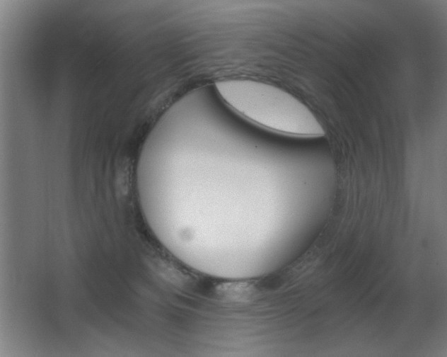 X0000068260133200604210924