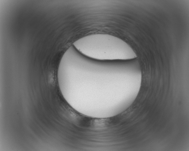 X0000068260134200604210924