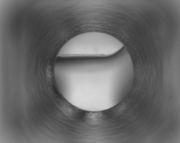 X0000068260135200604210924