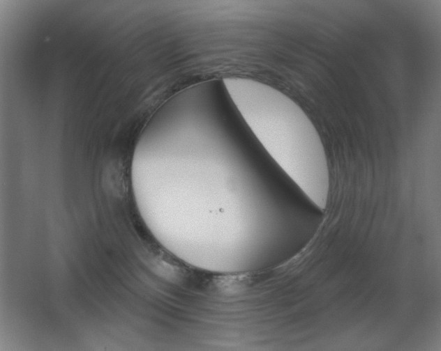 X0000068260136200604210924