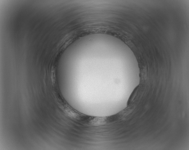 X0000068260138200604210924