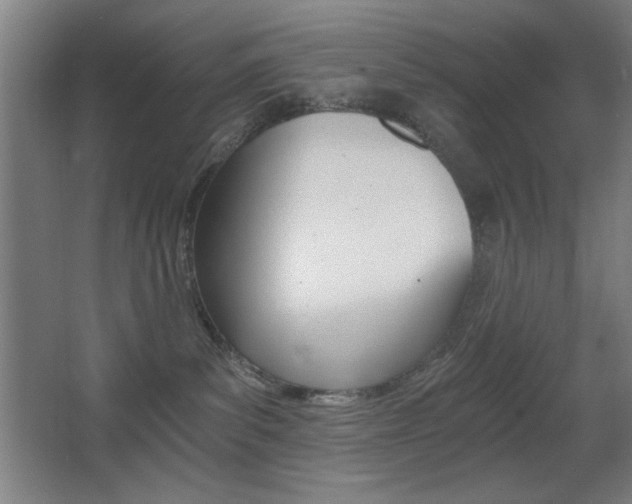 X0000068260139200604210924