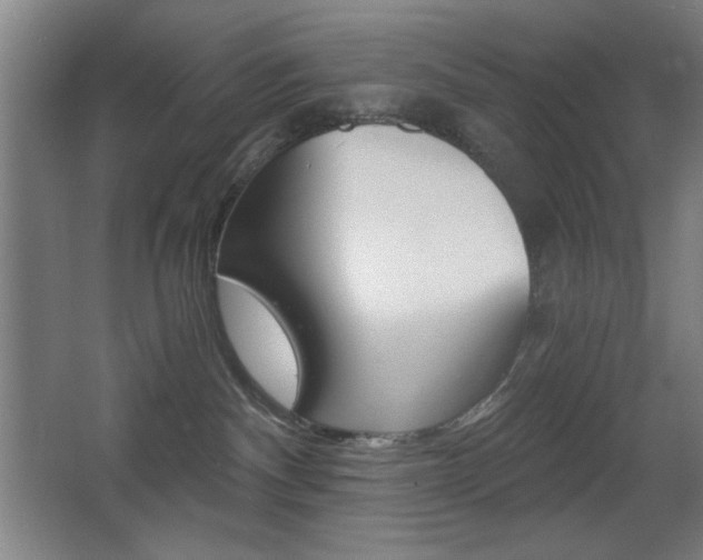 X0000068260140200604210924