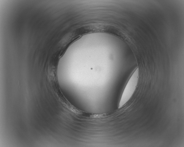 X0000068260141200604210924