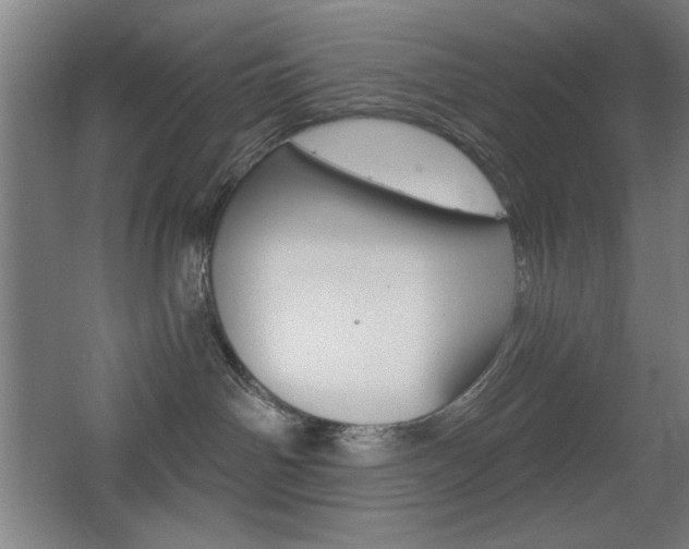 X0000068260142200604210924