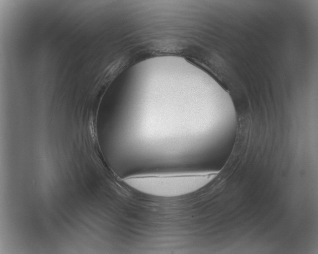 X0000068260143200604210924