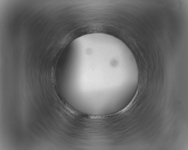 X0000068260144200604210924