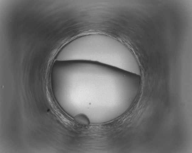 X0000068260145200604210923