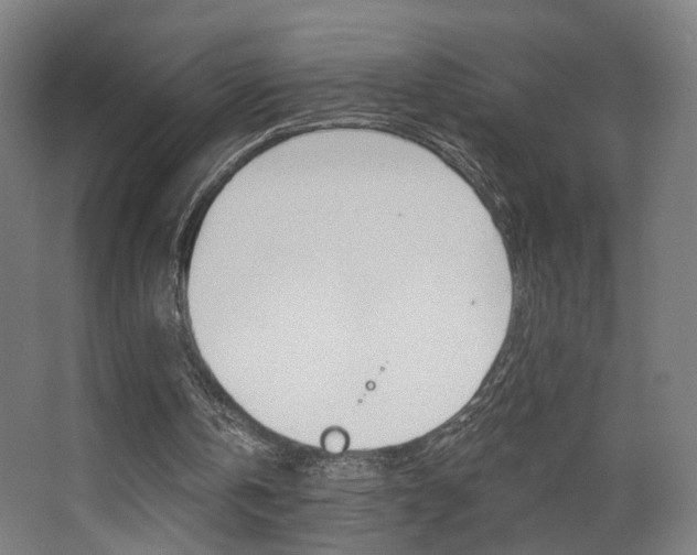 X0000068260146200604210923