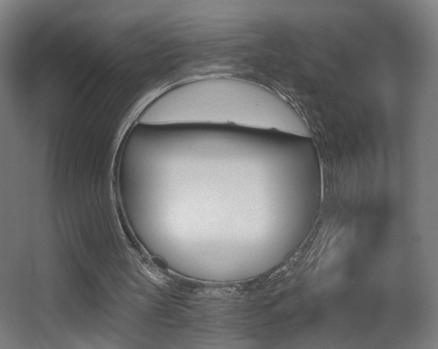 X0000068260147200604210923