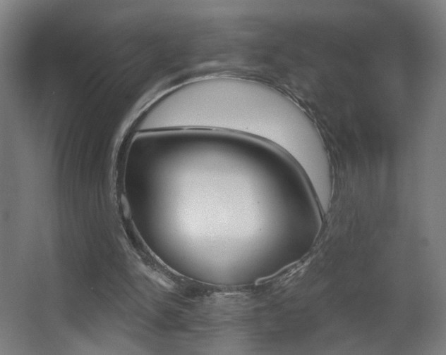 X0000068260150200604210923