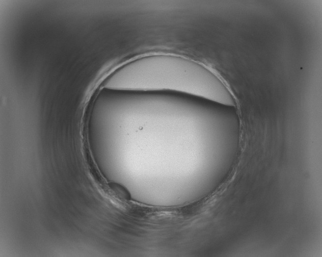 X0000068260151200604210923