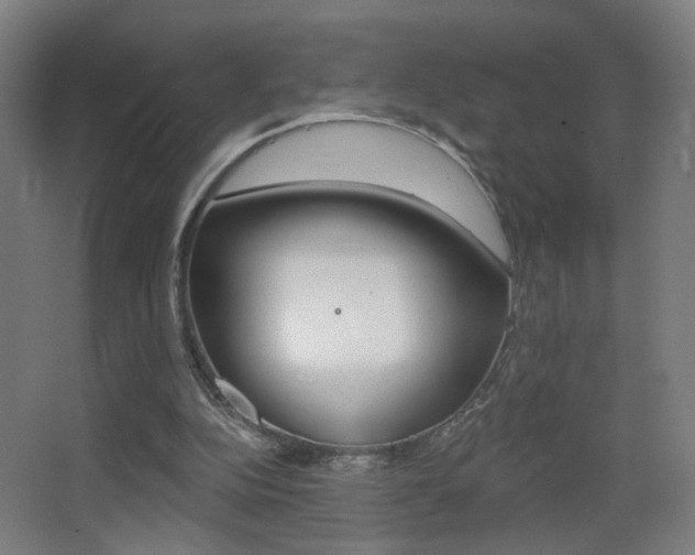 X0000068260152200604210923