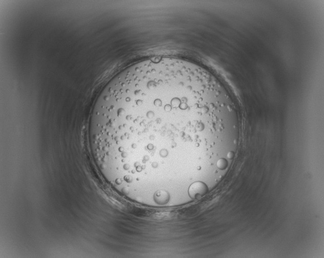 X0000068260153200604210923