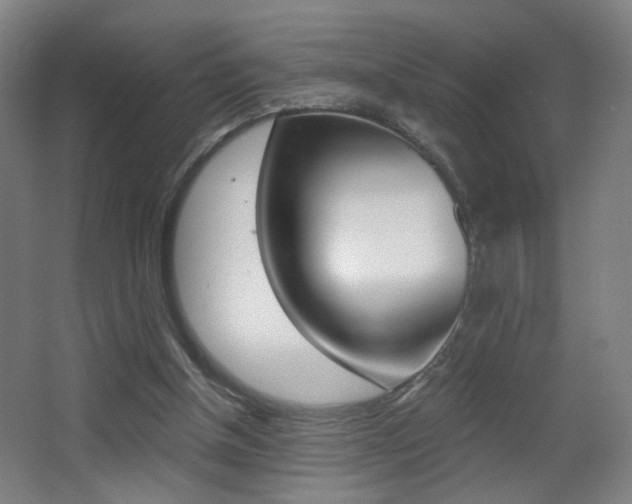 X0000068260154200604210923