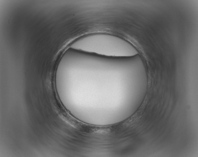 X0000068260155200604210923