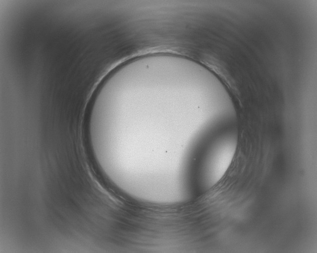 X0000068260156200604210923