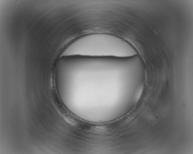 X0000068260157200604210923