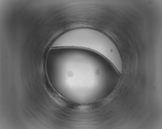 X0000068260158200604210923